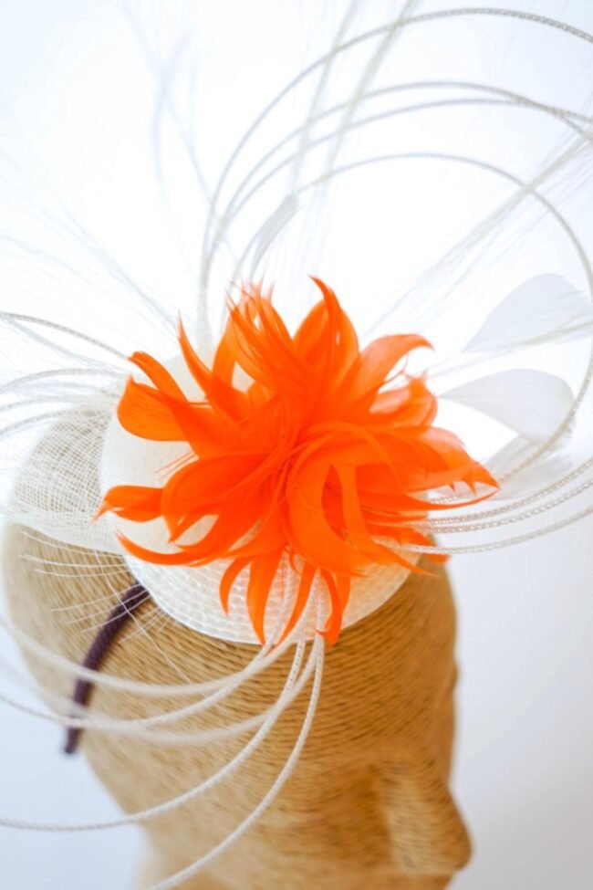 CBR-photographie-21-zoom CBR-photographie-21-zoom