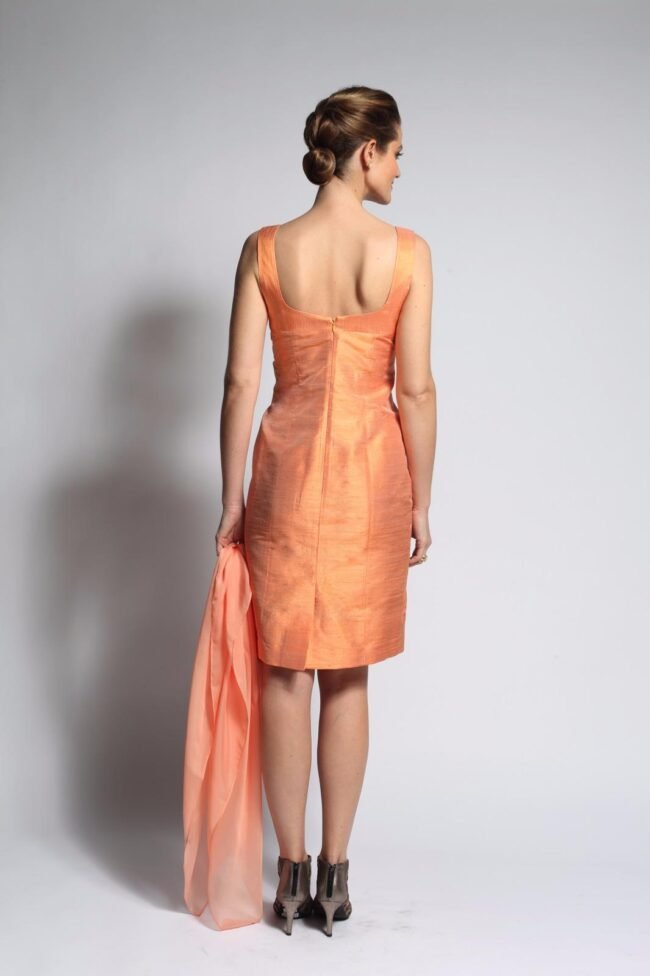 E18-ABACA-DOI-ABRICOT-3-zoom E18-ABACA-DOI-ABRICOT-3-zoom