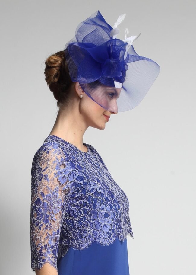 E18-MAIA-FCA-BLEUMAJORELLE-4-zoom E18-MAIA-FCA-BLEUMAJORELLE-4-zoom