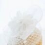 TE-CHA-CHOU-BLANC-1-zoom