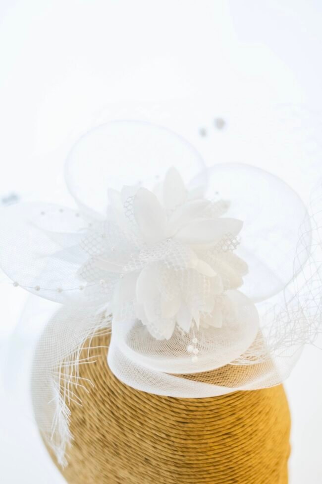 TE-CHA-CHOU-BLANC-5-zoom TE-CHA-CHOU-BLANC-5-zoom