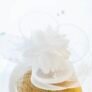 TE-CHA-CHOU-BLANC-5-zoom